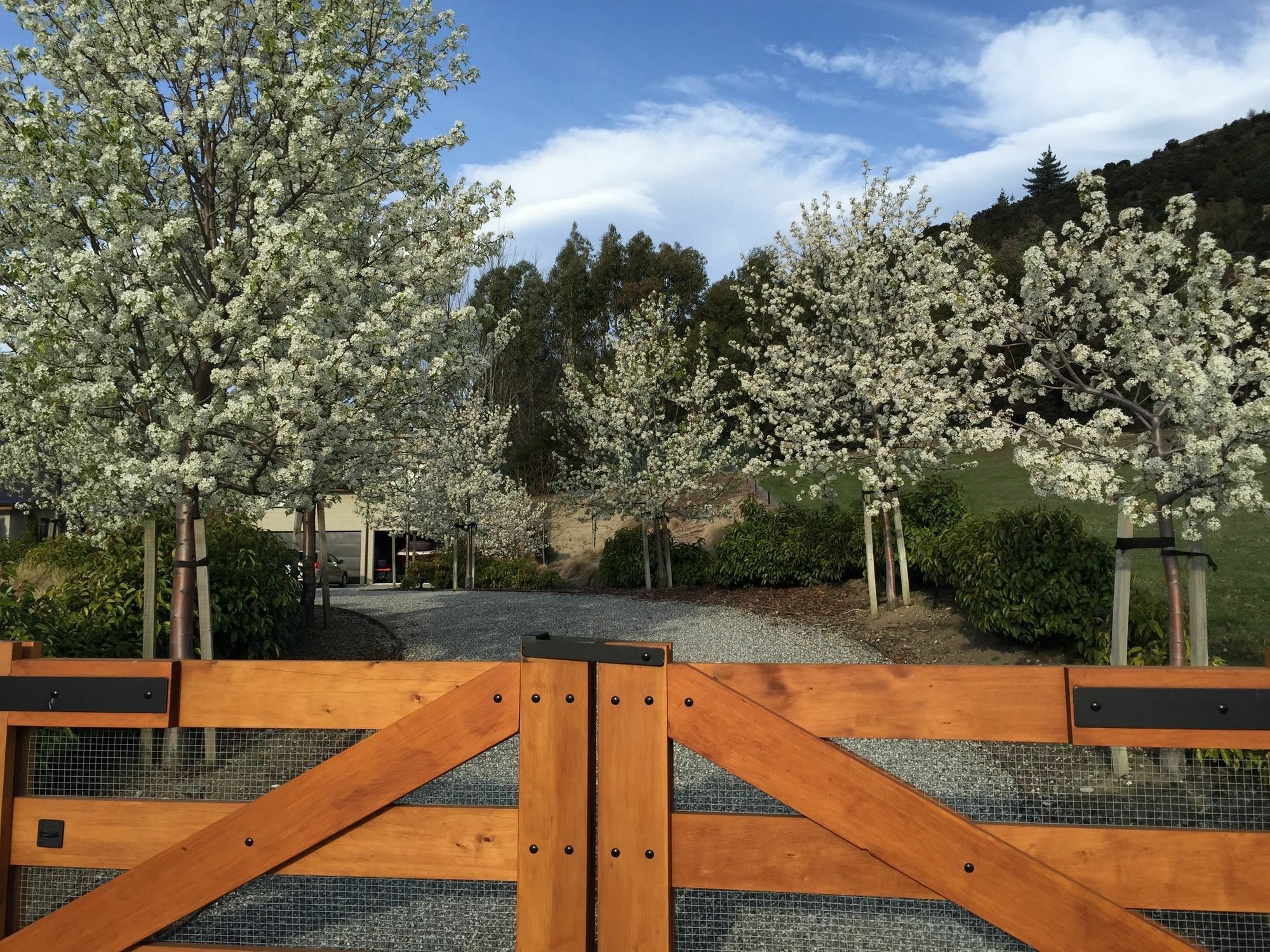 The Loft @ Hidden Hills Βίλα Γουανάκα Εξωτερικό φωτογραφία